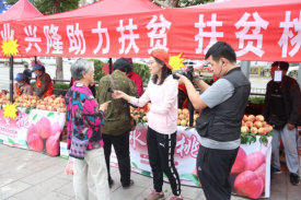 J9国际站备用【唯一】官方网站